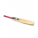 GM Purist Select Kashmir Willow Cricket Bat